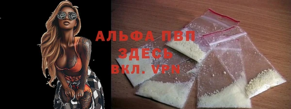 СК Алексин