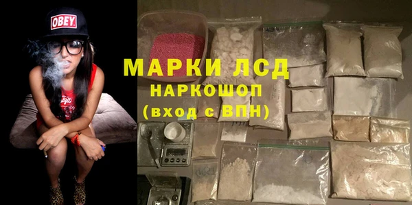 СК Алексин